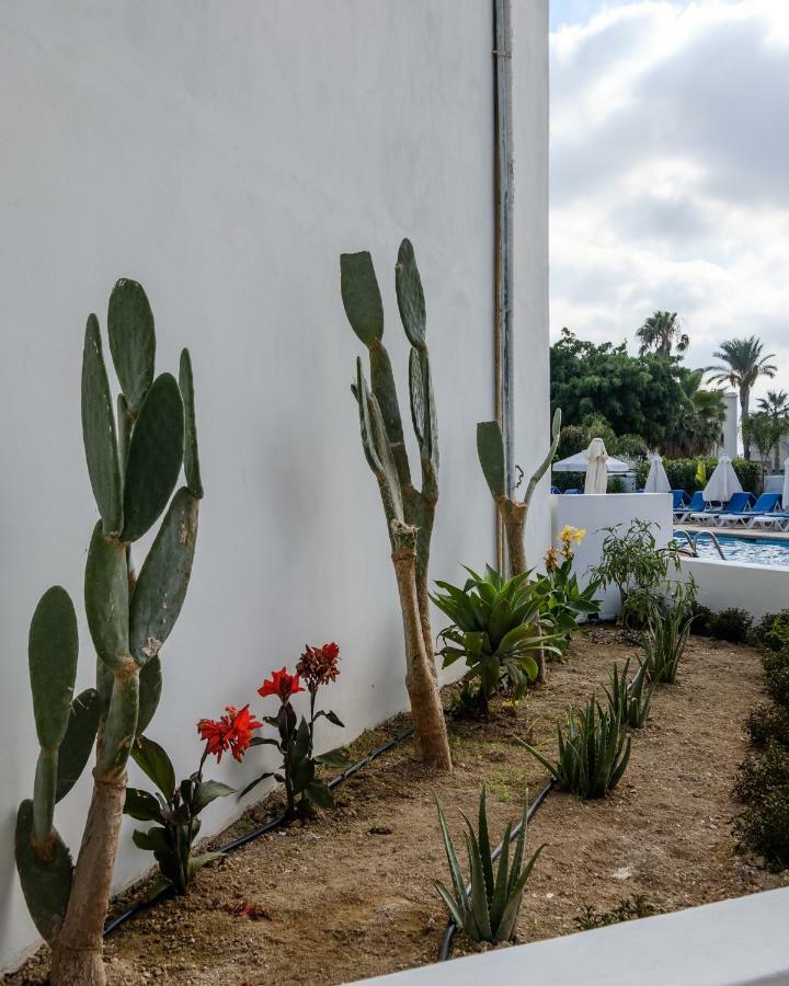 Pandream Hotel Apartments Paphos Eksteriør billede